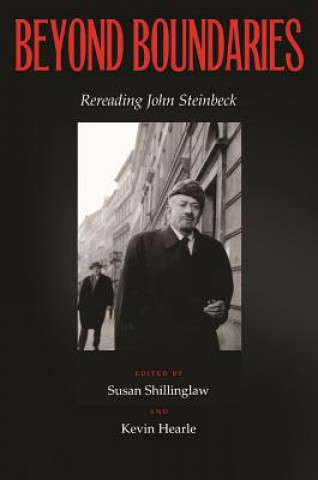 Book Beyond Boundaries Susan Shillinglaw