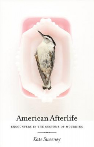 Carte American Afterlife Kate Sweeney