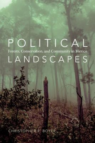 Kniha Political Landscapes Christopher R. Boyer