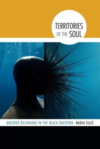 Kniha Territories of the Soul Nadia Ellis