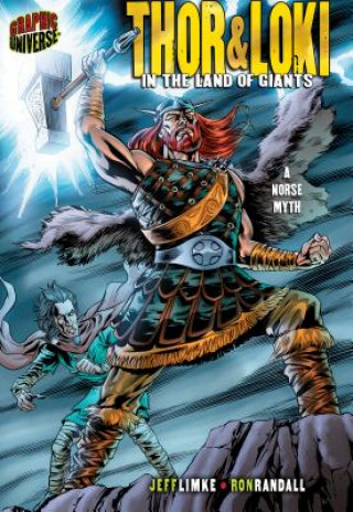 Book Thor & Loki Jeff Limke
