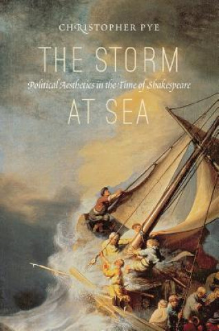 Knjiga Storm at Sea Christopher Pye