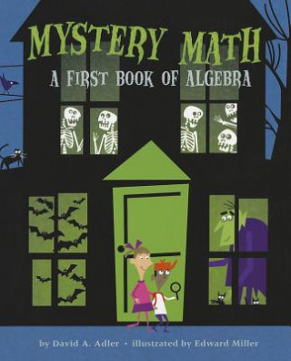 Könyv Mystery Math David A. Adler