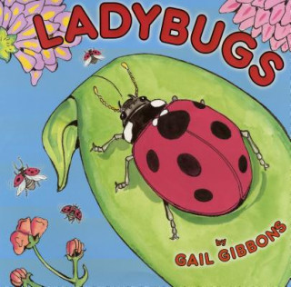 Book Ladybugs Gail Gibbons