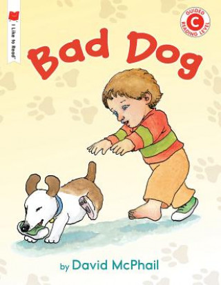 Kniha Bad Dog David McPhail