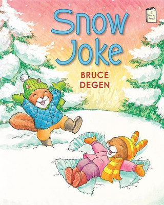 Kniha Snow Joke Bruce Degen