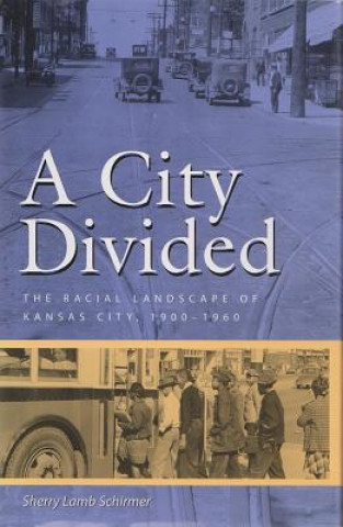 Buch City Divided Sherry Lamb Schirmer