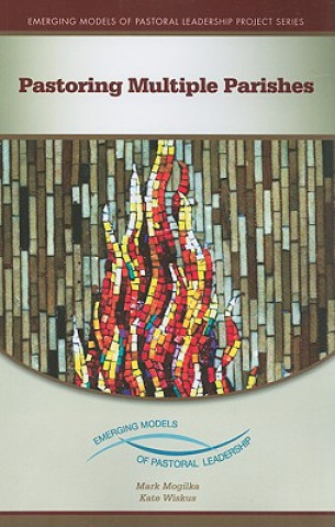 Kniha Pastoring Multiple Parishes Mark Mogilka