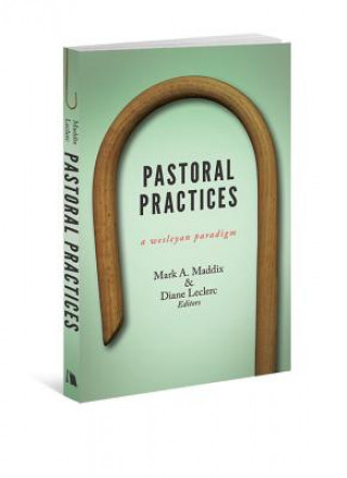 Buch Pastoral Practices Dianne Leclerc