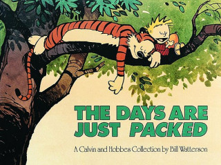 Kniha The Days Are Just Packed Bill Watterson