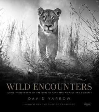 Książka Wild Encounters David Yarrow