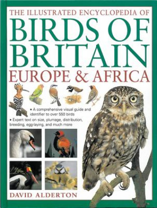 Книга Illustrated Encyclopedia of Birds of Britain Europe & Africa David Alderton