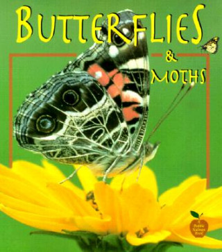 Livre Butterflies and Moths Bobbie Kalman