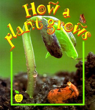 Kniha How a Plant Grows Bobbie Kalman