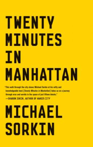 Könyv Twenty Minutes in Manhattan Michael Sorkin