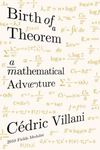 Kniha Birth of a Theorem Cedric Villani
