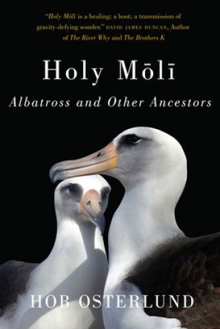 Книга Holy Moli Hob Osterlund