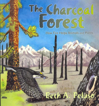 Knjiga The Charcoal Forest Beth A. Peluso