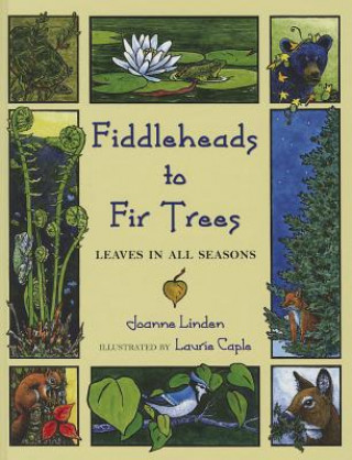 Könyv Fiddleheads to Fir Trees Joann Linden