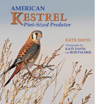 Knjiga American Kestrel Kate Davis