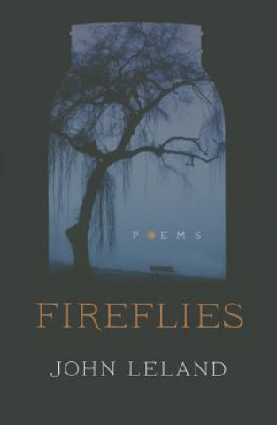 Книга Fireflies John Leland