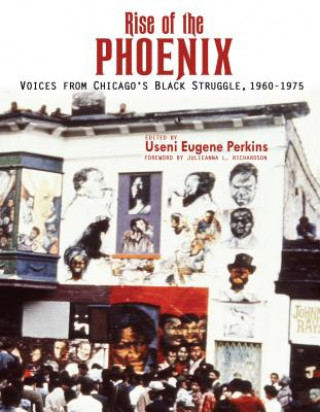 Kniha Rise of the Phoenix Useni E. Perkins