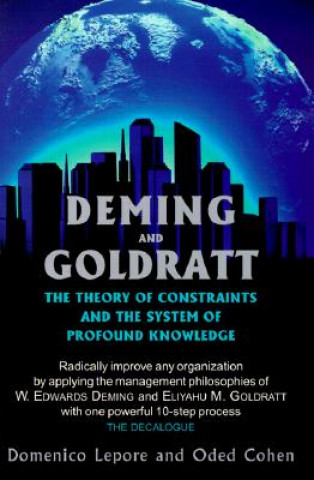 Knjiga Deming and Goldratt Domenico Lepore