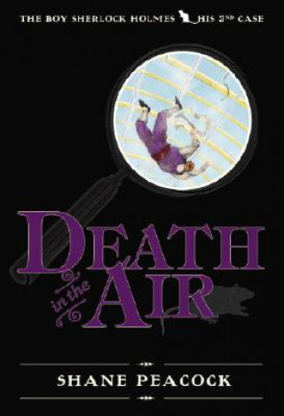 Kniha Death in the Air Shane Peacock