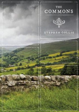 Книга Commons Stephen Collis