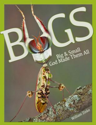 Knjiga Bugs Will Zinke