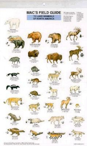 Książka Mac's Field Guide to Land Mammals of North America Craig MacGowan