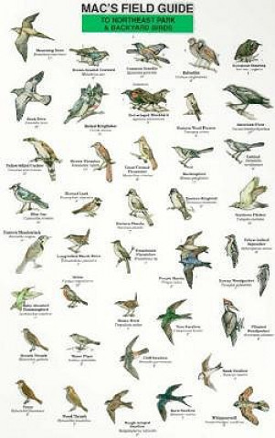 Carte Mac's Field Guide to Northeast Park and Backyard Birds Craig Macgowan