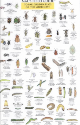 Kniha Mac's Field Guide to Bad Garden Bugs of the Southeast Craig MacGowan