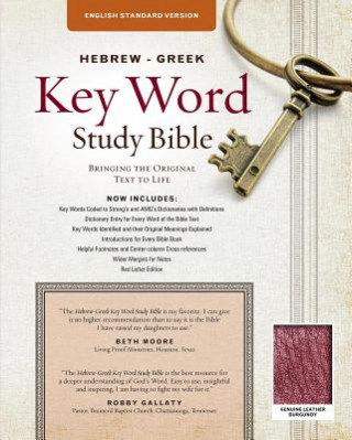 Carte Hebrew-Greek Key Word Study Bible Warren Baker