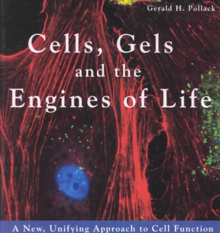 Книга Cells, Gels & the Engines of Life Gerald H. Pollack