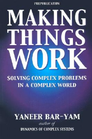 Könyv Making Things Work Yaneer Bar-Yam