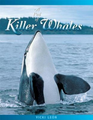 Könyv Pod of Killer Whales Vicki Leon