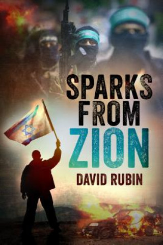 Kniha Sparks from Zion David Rubín