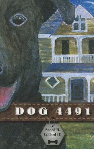 Könyv Dog 4491 Sneed B. Collard