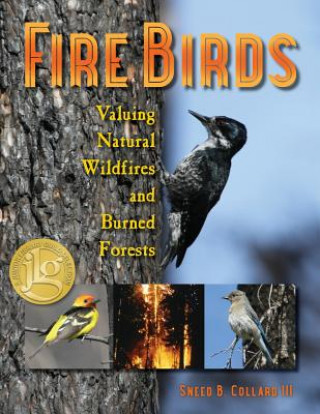Carte Fire Birds Sneed B. Collard