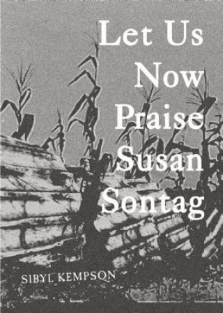 Book Let Us Now Praise Susan Sontag Sibyl Kempson