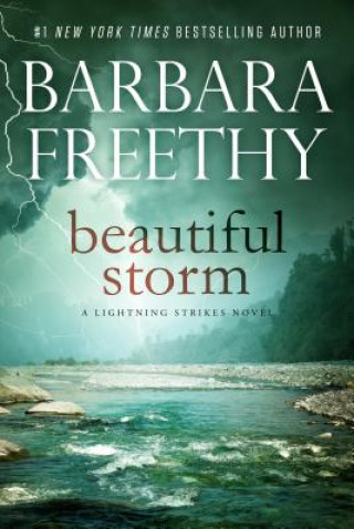 Kniha Beautiful Storm Barbara Freethy