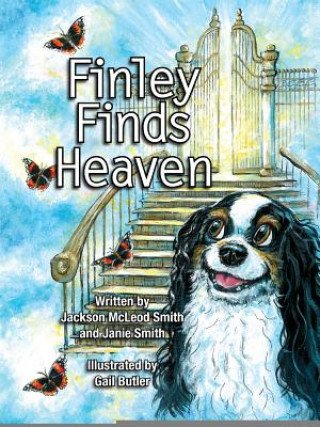 Kniha Finley Finds Heaven Jackson McLeod Smith