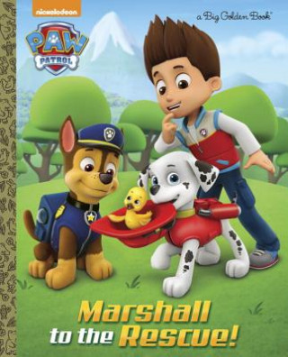 Carte Marshall to the Rescue! Golden Books Publishing Company