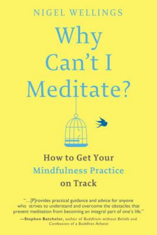 Kniha Why Can't I Meditate? Nigel Wellings
