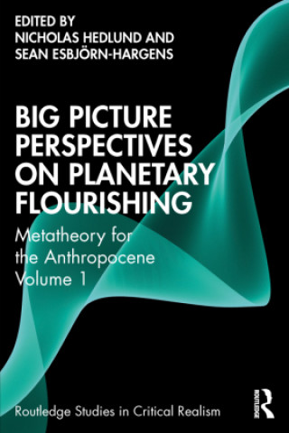 Książka Big Picture Perspectives for Planetary Flourishing Roy Bhaskar