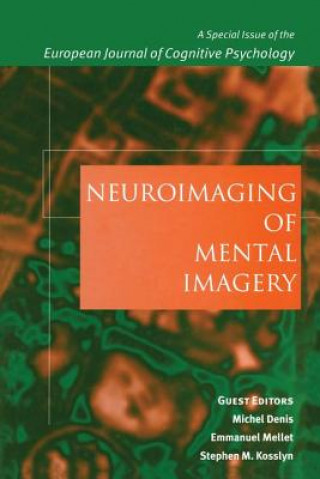 Kniha Neuroimaging of Mental Imagery Michel Denis