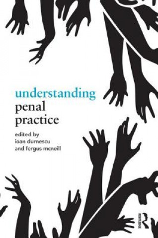 Kniha Understanding Penal Practice Ioan Durnescu