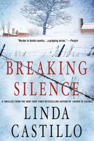 Book Breaking Silence Linda Castillo