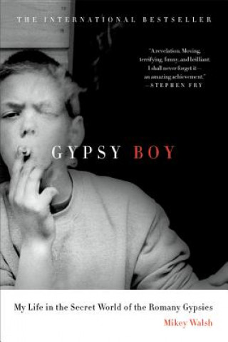 Buch Gypsy Boy Mikey Walsh